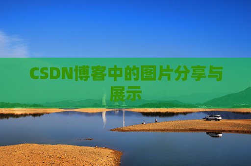 CSDN博客中的图片分享与展示